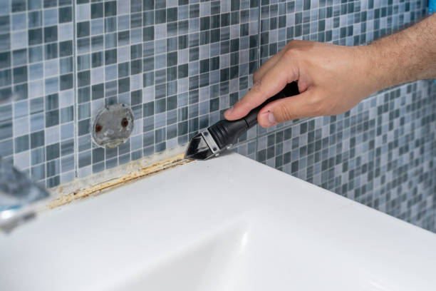 Best Certified Mold Removal  in St Clair Shores, MI