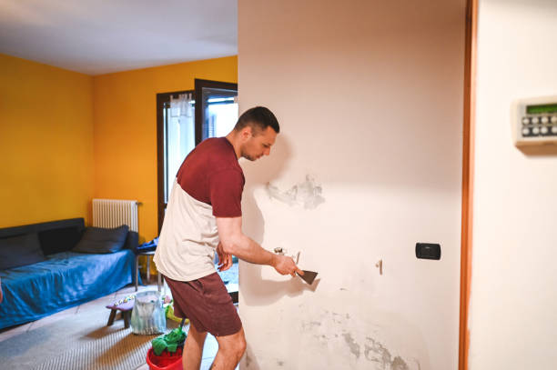 Best Home Mold Removal  in St Clair Shores, MI